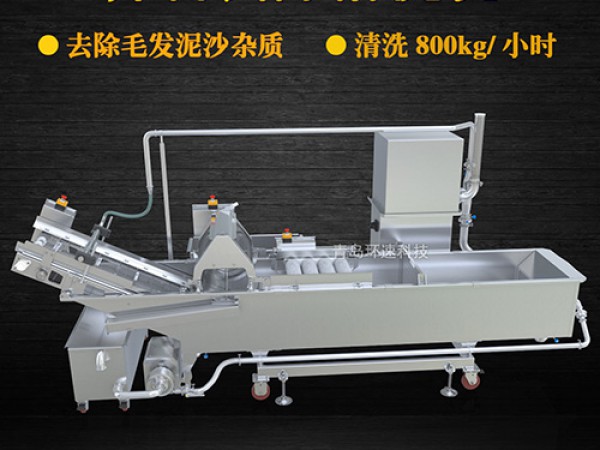蔬菜清洗機(jī)，氣泡清洗，清洗800kg/小時(shí)